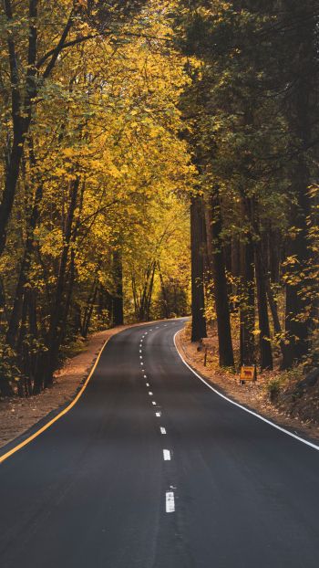 Yosemite, road, autumn Wallpaper 720x1280