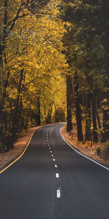 Yosemite, road, autumn Wallpaper 720x1440