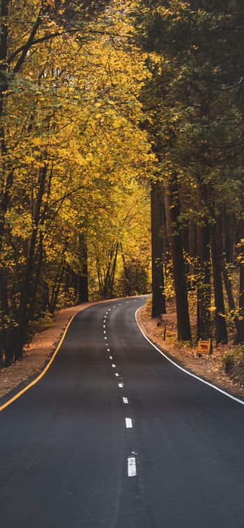 Yosemite, road, autumn Wallpaper 1242x2688