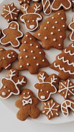 cookie, glaze, gingerbread Wallpaper 640x1136