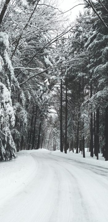 Обои 1080x2220 лес, зима, снег, дорога