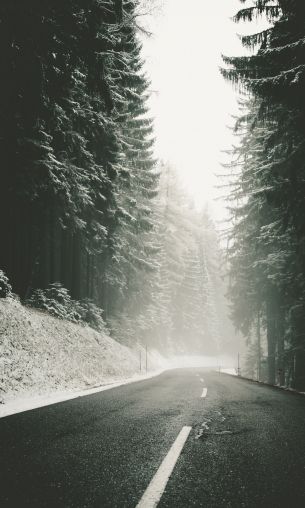 road, snow, blizzard Wallpaper 1200x2000