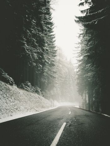 road, snow, blizzard Wallpaper 1536x2048