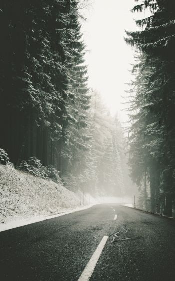 road, snow, blizzard Wallpaper 1200x1920