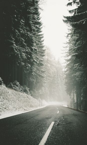 road, snow, blizzard Wallpaper 1200x2000