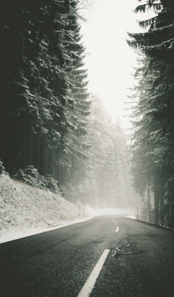 road, snow, blizzard Wallpaper 600x1024
