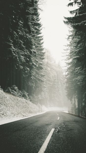 road, snow, blizzard Wallpaper 640x1136
