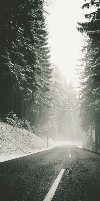 road, snow, blizzard Wallpaper 720x1440