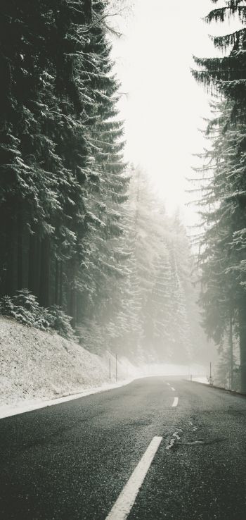 road, snow, blizzard Wallpaper 720x1520