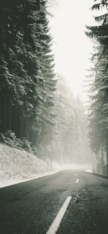 road, snow, blizzard Wallpaper 828x1792