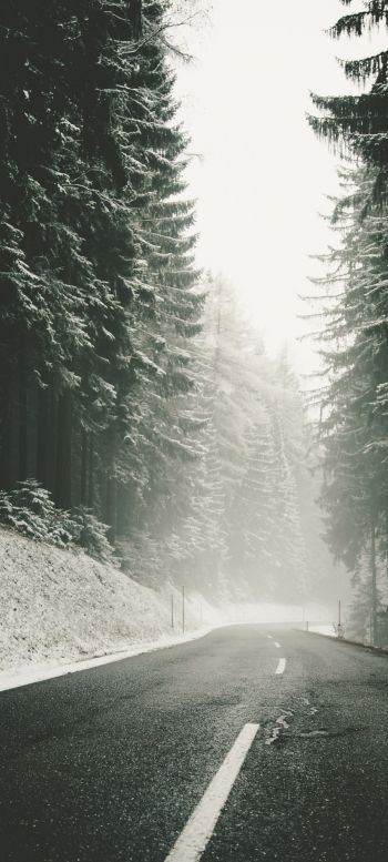 road, snow, blizzard Wallpaper 720x1600