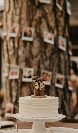 wedding cake, sweetness Wallpaper 600x1024