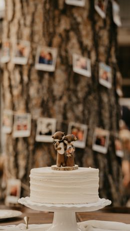 wedding cake, sweetness Wallpaper 640x1136