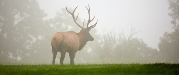 Pennsylvania, Elk County, USA Wallpaper 3440x1440