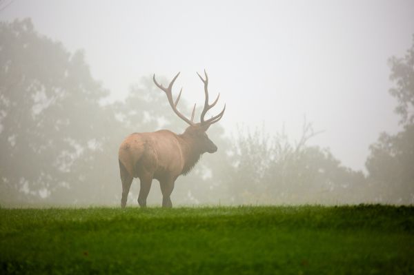 Pennsylvania, Elk County, USA Wallpaper 5738x3825