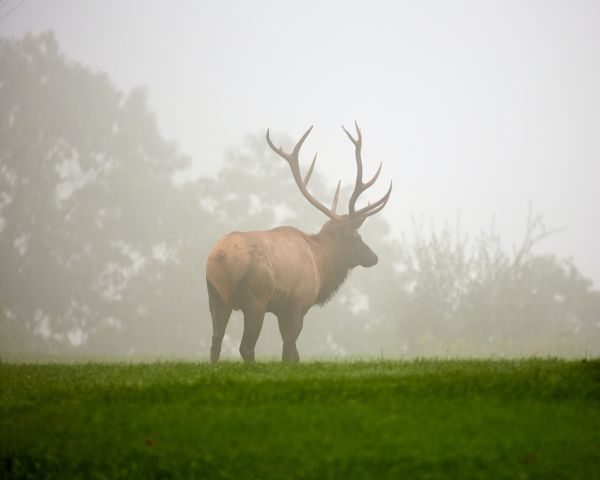 Pennsylvania, Elk County, USA Wallpaper 1280x1024