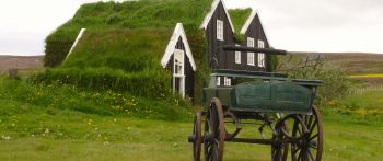 Обои 2560x1080 Исландия, зеленый, дом, телега