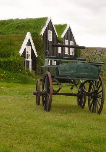 Обои 1668x2388 Исландия, зеленый, дом, телега