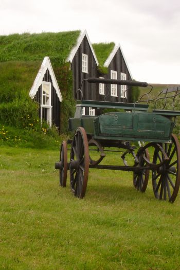 Обои 640x960 Исландия, зеленый, дом, телега