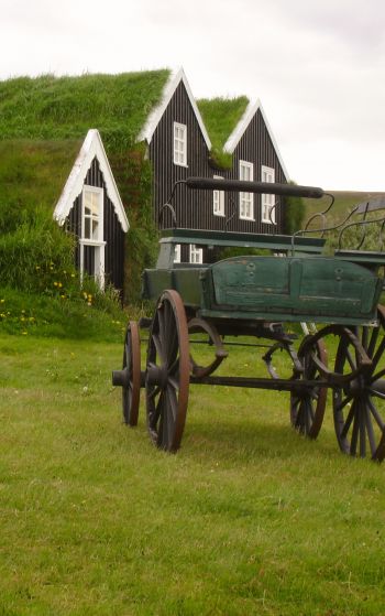 Обои 1752x2800 Исландия, зеленый, дом, телега
