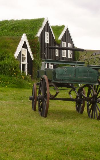 Обои 800x1280 Исландия, зеленый, дом, телега