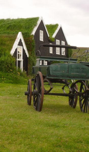 Обои 600x1024 Исландия, зеленый, дом, телега