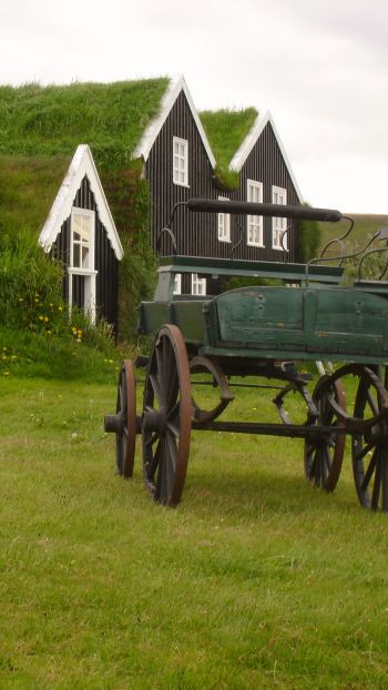 Обои 750x1334 Исландия, зеленый, дом, телега