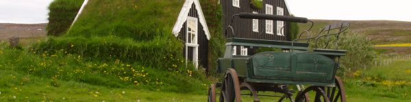 Обои 1590x400 Исландия, зеленый, дом, телега