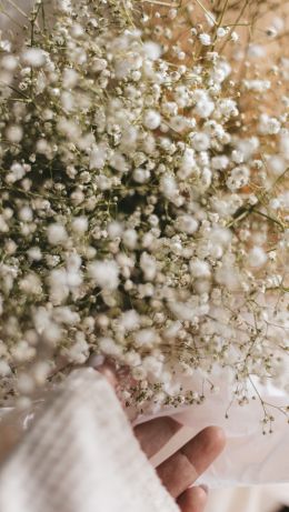 bloom, plant, bouquet, hand Wallpaper 640x1136