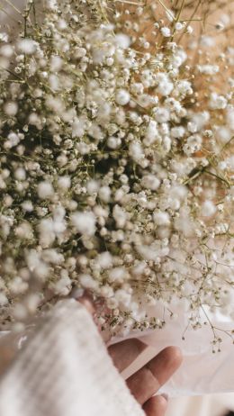 bloom, plant, bouquet, hand Wallpaper 750x1334