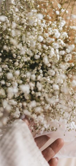 bloom, plant, bouquet, hand Wallpaper 1080x2340