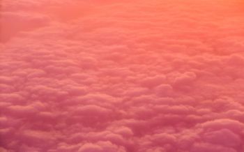 Обои 2560x1600 облака, розовый, мягкий
