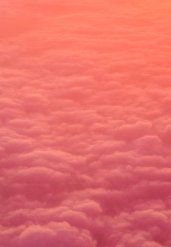 clouds, pink, soft Wallpaper 1640x2360