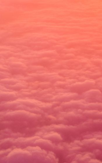 Обои 1600x2560 облака, розовый, мягкий