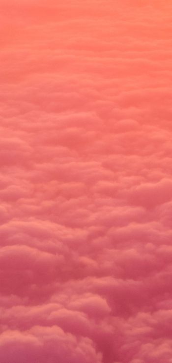 clouds, pink, soft Wallpaper 1080x2280