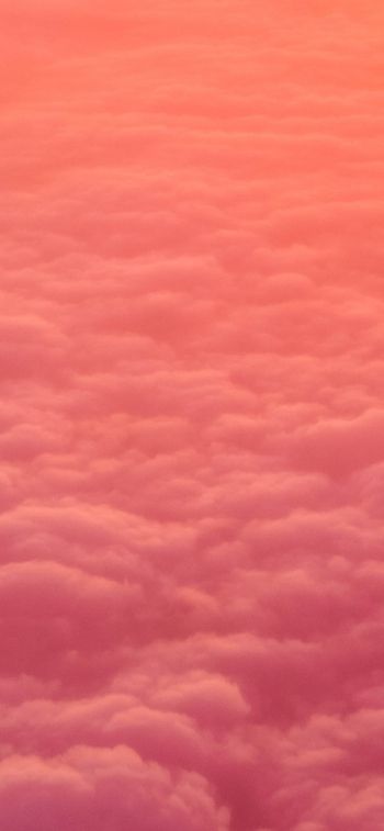 Обои 828x1792 облака, розовый, мягкий