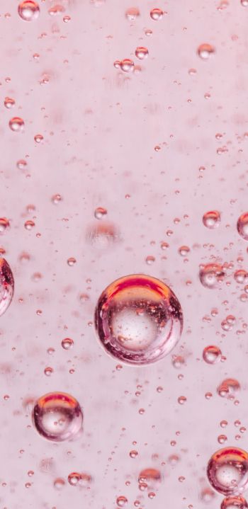 bubbles, liquid, pink Wallpaper 1080x2220