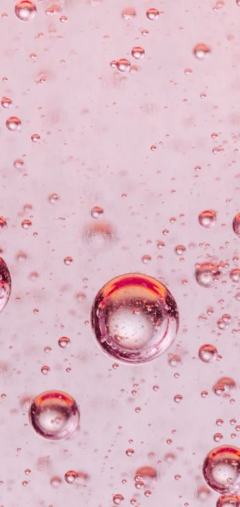 bubbles, liquid, pink Wallpaper 1440x3040