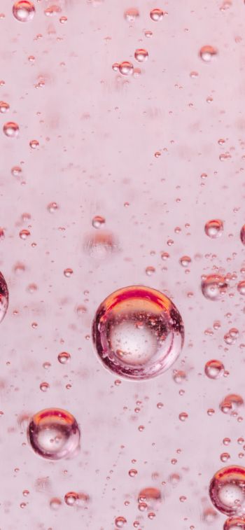 Обои 828x1792 пузыри, жидкость, розовый