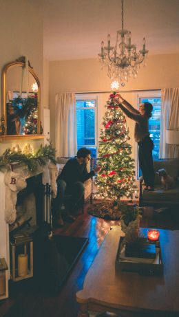 decoration, pair, Christmas tree Wallpaper 640x1136