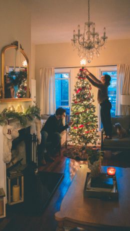 decoration, pair, Christmas tree Wallpaper 1080x1920