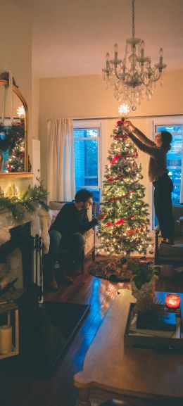 decoration, pair, Christmas tree Wallpaper 1440x3200