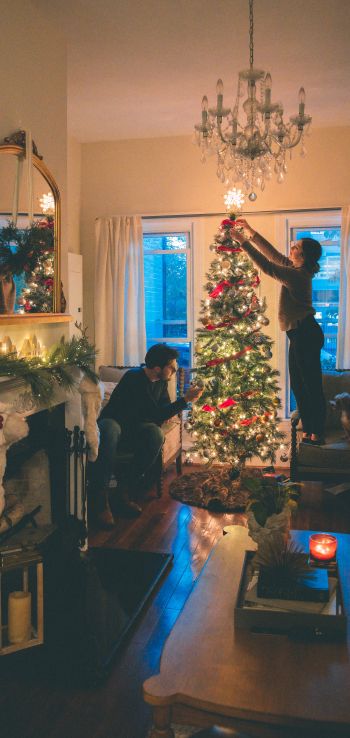 decoration, pair, Christmas tree Wallpaper 1080x2280