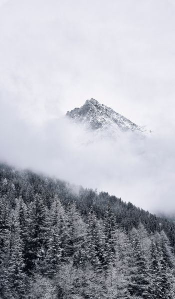 forest, mountains, clouds Wallpaper 600x1024
