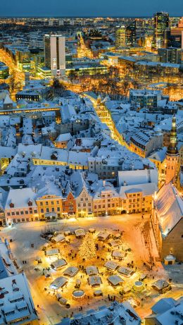 Tallinn, Estonia, city Wallpaper 640x1136