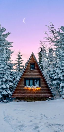Slovakia, a house in the woods Wallpaper 1080x2220