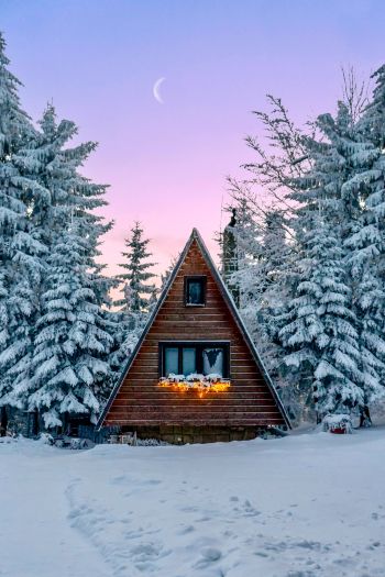 Slovakia, a house in the woods Wallpaper 640x960