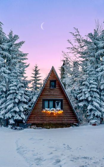 Slovakia, a house in the woods Wallpaper 800x1280