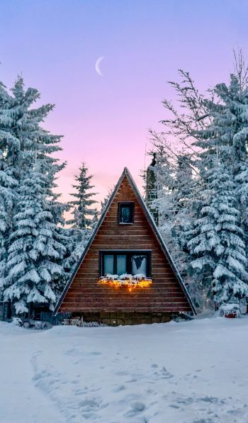 Slovakia, a house in the woods Wallpaper 600x1024