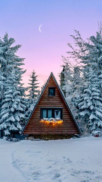 Slovakia, a house in the woods Wallpaper 640x1136